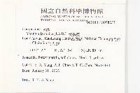 黃鵪菜藏品圖，第2張