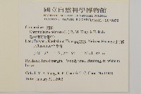 香澤蘭、飛機草藏品圖，第2張