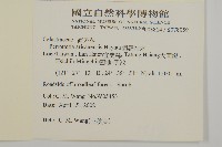 佩羅特木藏品圖，第2張