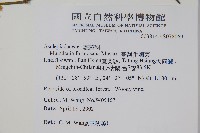 臺灣牛嬭菜藏品圖，第2張