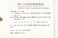 玉山筷子芥藏品圖，第2張