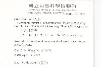 水花菜藏品圖，第2張