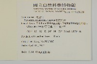 佩羅特木藏品圖，第2張