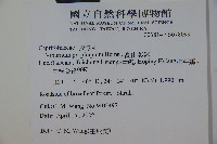 高山莢迷藏品圖，第2張