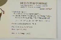 佩羅特木藏品圖，第2張