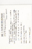 倒卵葉裂緣花藏品圖，第2張