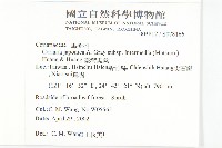 臺灣馬桑藏品圖，第2張