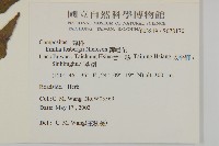 纓絨花藏品圖，第2張