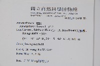 刺莧藏品圖，第2張