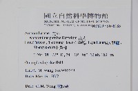 青莧藏品圖，第2張