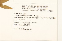 野茼蒿藏品圖，第2張