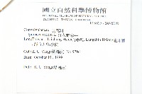 紅花野牽牛藏品圖，第2張