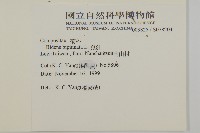 鬼針藏品圖，第2張