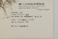 鬼針藏品圖，第2張