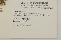 艾藏品圖，第2張