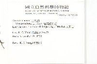 變葉姬旋花藏品圖，第2張