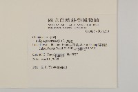 鱧腸藏品圖，第2張