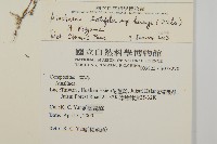 臺灣鬼督郵藏品圖，第2張