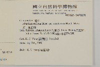 臺灣鬼督郵藏品圖，第2張