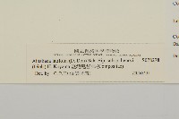 臺灣鬼督郵藏品圖，第3張