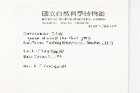 野牽牛藏品圖，第2張