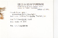 碗仔花藏品圖，第2張