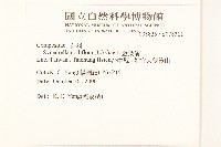 金腰箭藏品圖，第2張