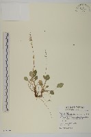 臺灣鬼督郵藏品圖，第1張