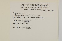 艾納香藏品圖，第2張