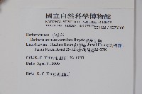 眠月小蘗藏品圖，第2張