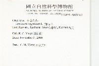 獨行菜藏品圖，第2張