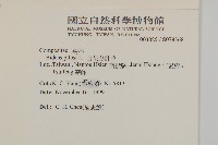 白花鬼針藏品圖，第2張