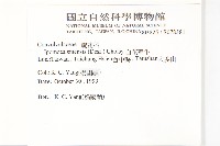 白花牽牛藏品圖，第2張