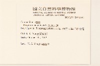 加拿大蓬藏品圖，第2張