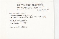 海牽牛藏品圖，第2張