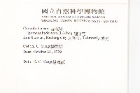 碗仔花藏品圖，第2張