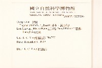 孔雀草、紅黃草、萬壽菊藏品圖，第2張