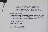 蘭嵌馬藍藏品圖，第2張