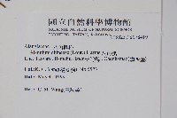 八角楓藏品圖，第2張