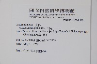 刺莧藏品圖，第2張