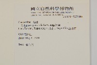 金腰箭舅藏品圖，第2張