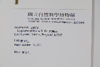 六角英, 槍刀菜藏品圖，第2張