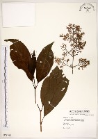 水金京藏品圖，第1張