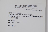 蘿芙木藏品圖，第2張