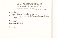 蟛蜞菊藏品圖，第2張