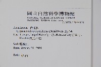 針刺草藏品圖，第2張