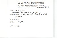 疏花佛甲草藏品圖，第2張