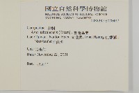 臺灣馬蘭藏品圖，第2張