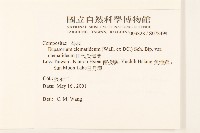 田代氏澤蘭藏品圖，第2張