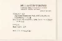 田代氏澤蘭藏品圖，第2張